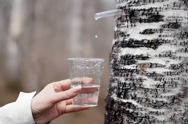 台桦树汁准备割谁开元棋牌李诞站(图3) 台桦树汁准备割谁开元棋牌李诞站(图3)