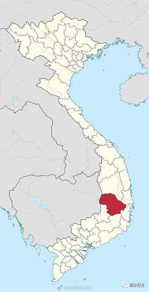 自美国！但越南的脸不疼吗？开元棋牌试玩越南公安部称来(图6)