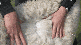 做好这件事皮肤真的会变嫩ky开元棋牌洗完澡3分钟(图2)